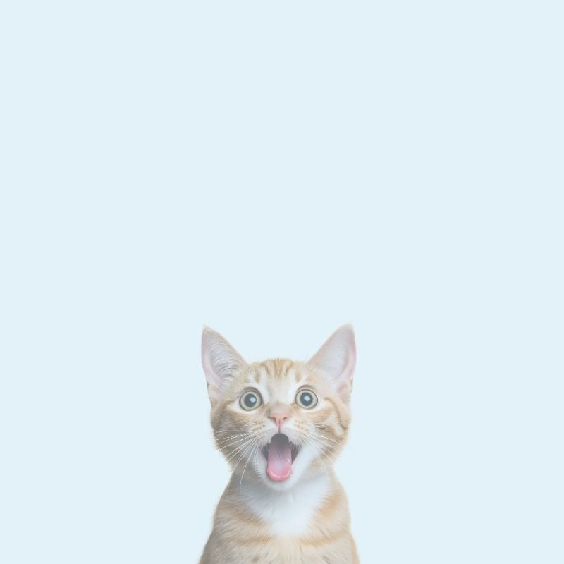Happy pets